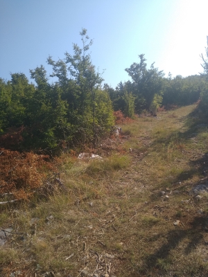 Čišćenje i održavanje zapuštenih putova